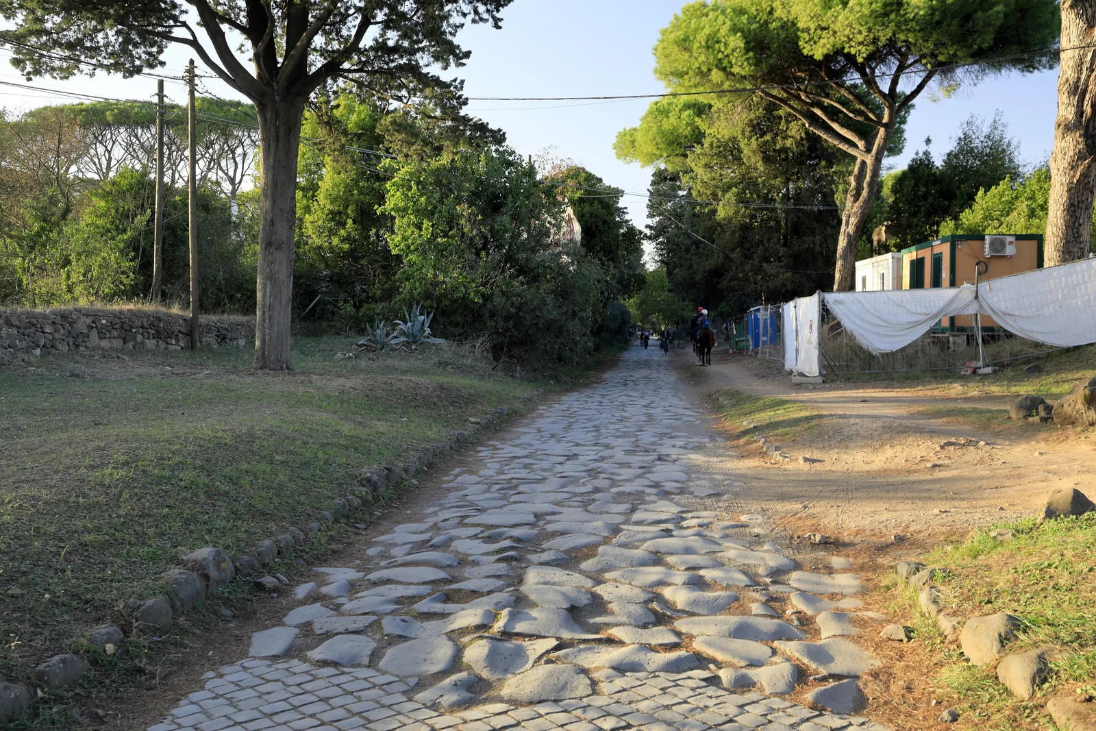 A stretch of the Appian Way paved with large dark stone slabs, running between grass verges and umbrella pines under a pale sky